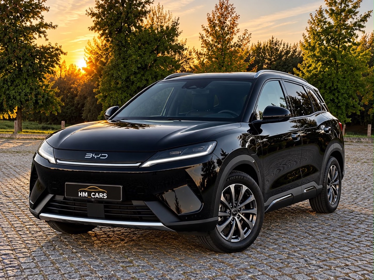 BYD Atto 2 DM-i